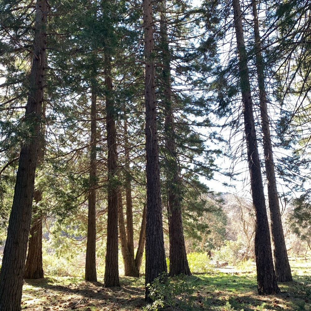 Meet your Posher, Julianna